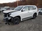 LEXUS GX 460 photo