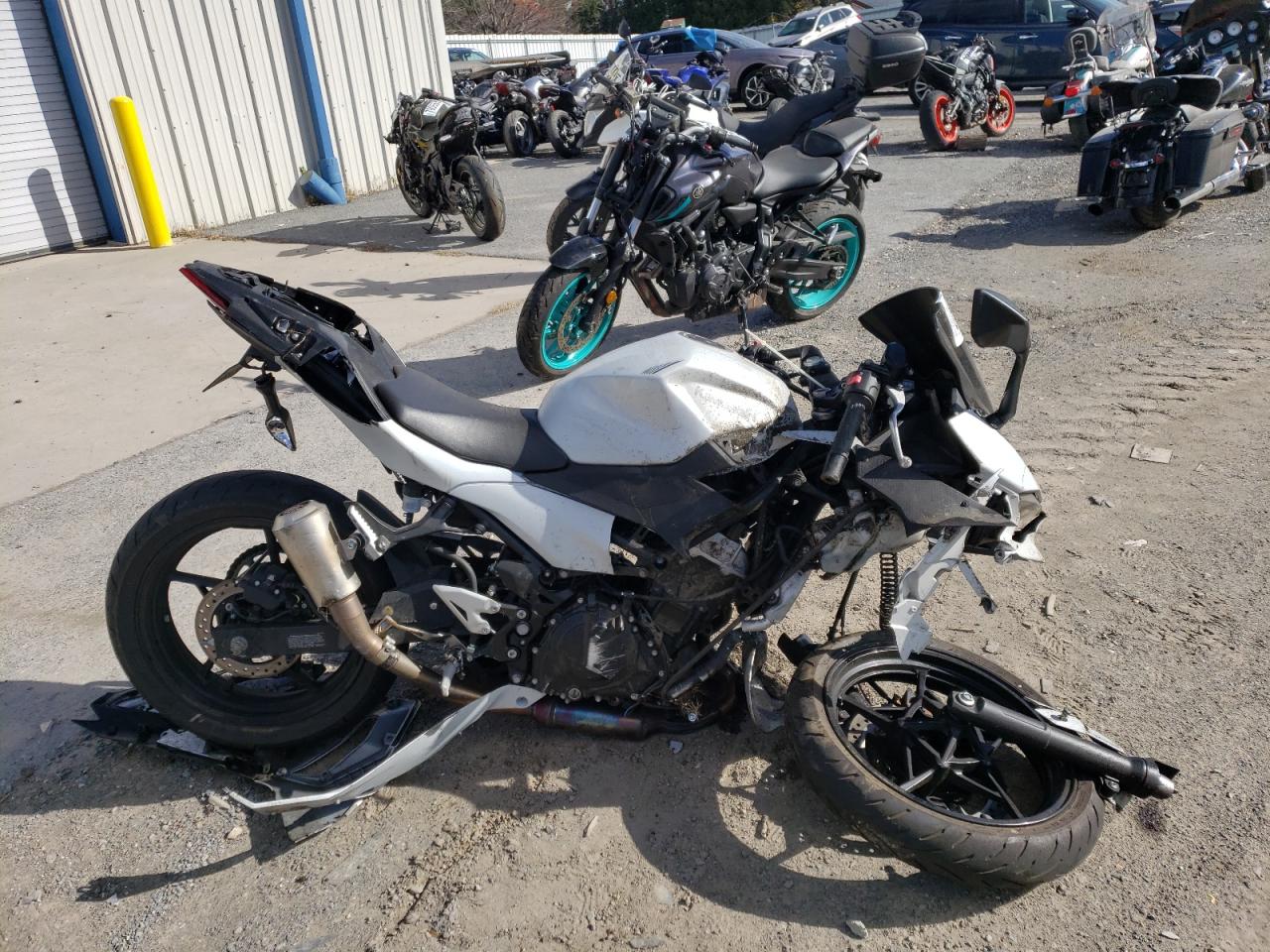 Kawasaki Ninja 500 2024 EX500GR