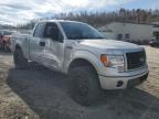 Lot #3027072789 2014 FORD F150 SUPER