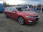 Lot #3023653978 2024 CHEVROLET MALIBU PRE