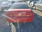 Lot #3024581642 2006 FORD MUSTANG