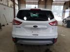 Lot #3025146243 2013 FORD ESCAPE SE