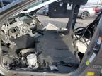 Lot #3024604572 2023 LEXUS LS 500 BAS