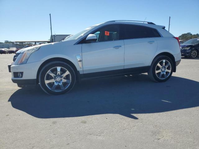 CADILLAC SRX PERFOR 2010 white  gas 3GYFNEEY9AS530463 photo #1