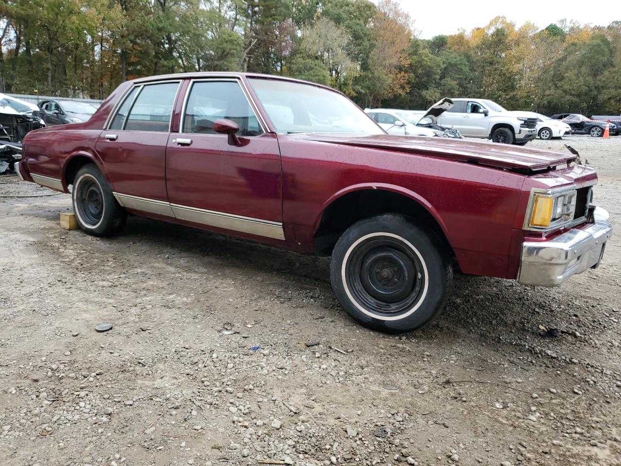 Lot #3029336682 1981 CHEVROLET CAPRICE CL