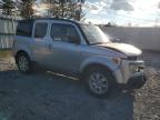 HONDA ELEMENT EX photo