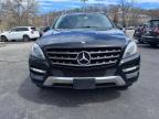 MERCEDES-BENZ ML 350 BLU photo