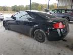 Lot #3025173180 2004 INFINITI G35