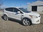 Lot #3023621262 2016 FORD ESCAPE SE