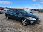 Lot #3024057636 2004 HONDA ACCORD EX