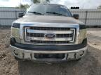 Lot #3027165310 2013 FORD F150 SUPER