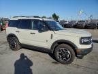 FORD BRONCO SPO photo