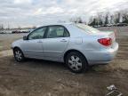 Lot #3023851817 2005 TOYOTA COROLLA CE