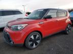 KIA SOUL + photo