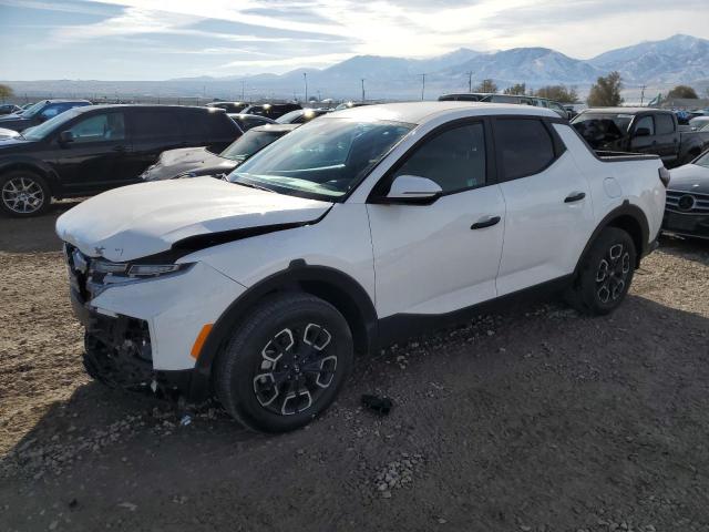 2024 HYUNDAI SANTA CRUZ #3041279485