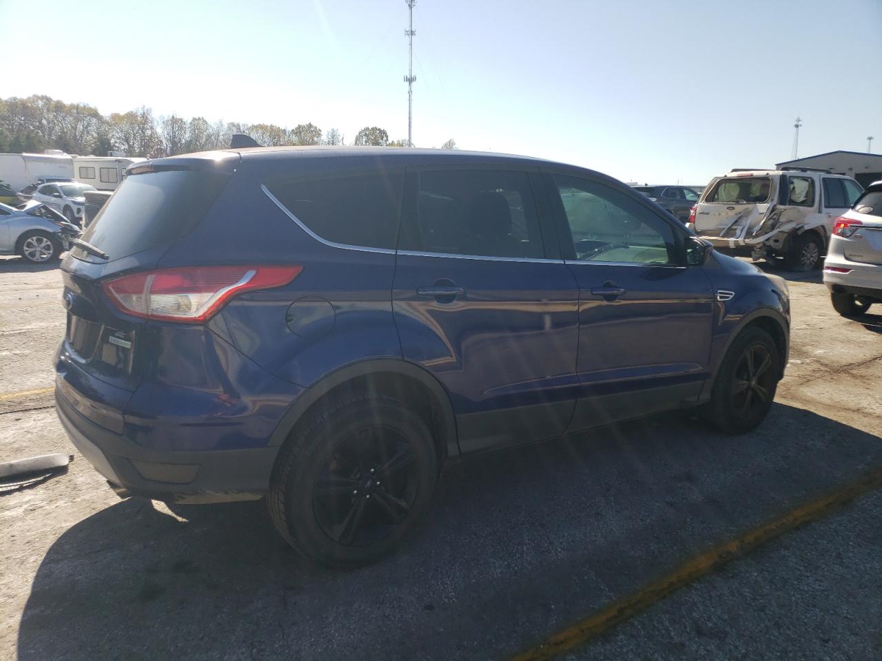 Lot #2996407350 2014 FORD ESCAPE SE