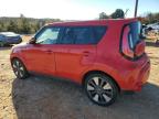 KIA SOUL ! photo