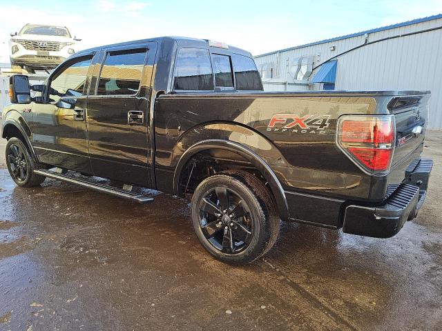 VIN 1FTFW1ET6DFB21250 2013 FORD F-150 no.2