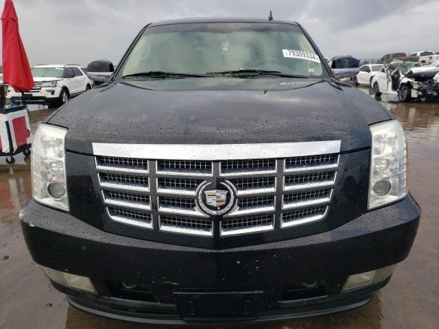 2010 CADILLAC ESCALADE P - 1GYUCCEF4AR287972
