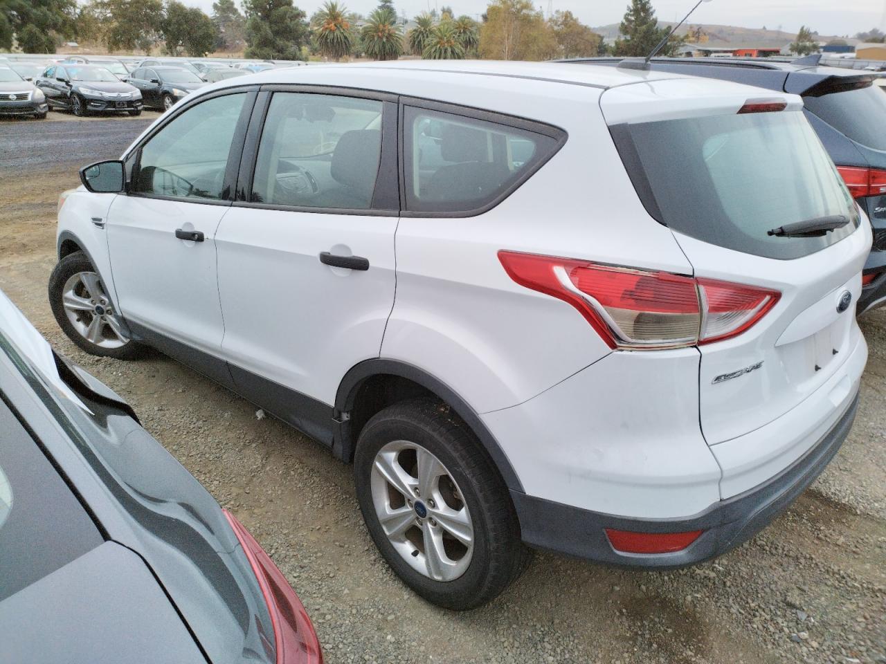 Lot #3029749244 2015 FORD ESCAPE S