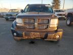 Lot #3023968232 2011 DODGE NITRO HEAT