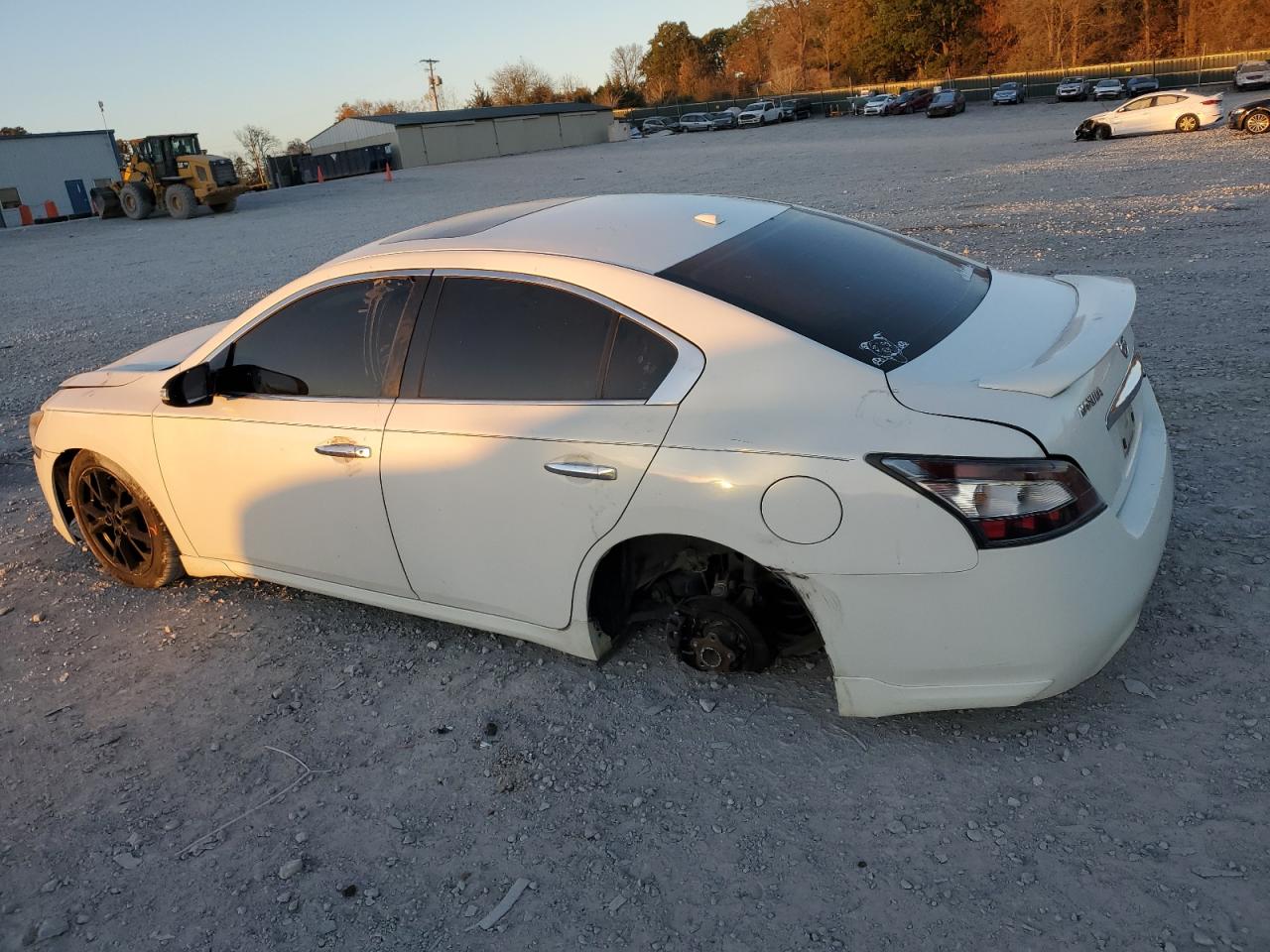 Lot #3029655082 2014 NISSAN MAXIMA S