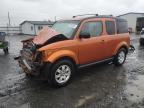 HONDA ELEMENT EX снимка