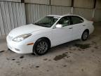 LEXUS ES 300 photo