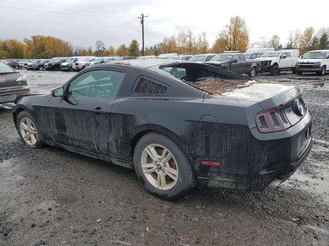 Vin: 1zvbp8am9d5280169, lot: 81176564, ford all models 20132