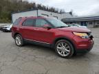 Lot #3024221843 2015 FORD EXPLORER L