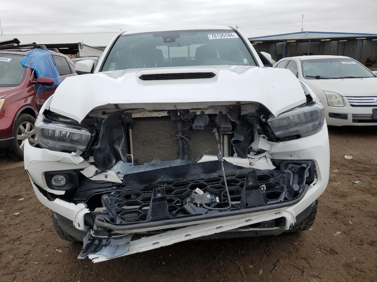 Lot #3037396718 2023 TOYOTA TACOMA DOU