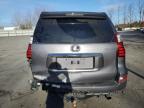 Lot #2979553591 2020 LEXUS GX 460 PRE