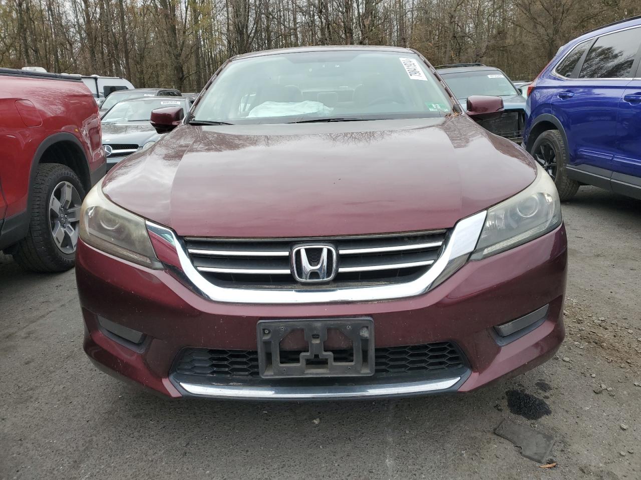 Lot #3024160819 2014 HONDA ACCORD EX