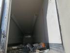 Lot #3004229828 2019 GREAT DANE TRAILER REEFER