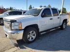 Lot #3023942242 2013 CHEVROLET SILVERADO