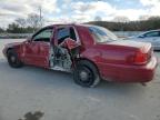 Lot #3034536818 2011 FORD CROWN VICT