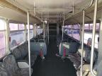 Lot #3023814976 1997 GILLIG BUS