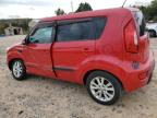 KIA SOUL + photo