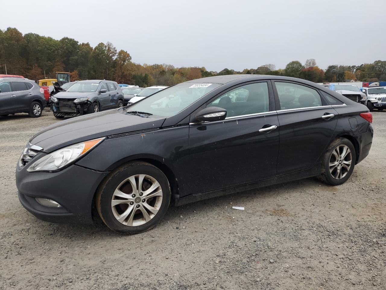 Lot #2952735201 2013 HYUNDAI SONATA SE