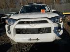 Lot #3024591577 2022 TOYOTA 4RUNNER SR