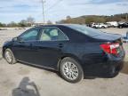 TOYOTA CAMRY L photo