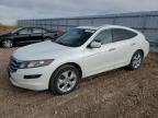 HONDA ACCORD CRO photo