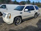 CADILLAC ESCALADE L photo