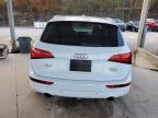 Lot #3025145188 2013 AUDI Q5 PREMIUM