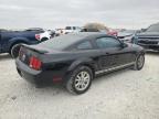 Lot #2965522202 2005 FORD MUSTANG