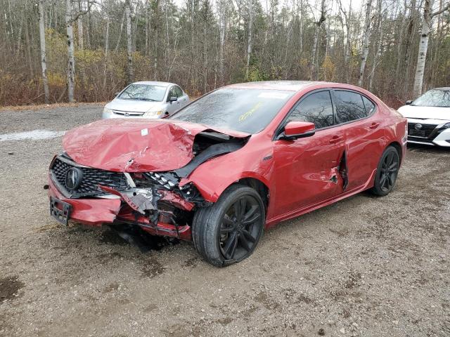 ACURA TLX TECHNO