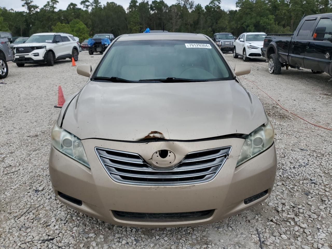 Global Auto Auctions