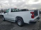 Lot #3024344613 2024 CHEVROLET SILVERADO