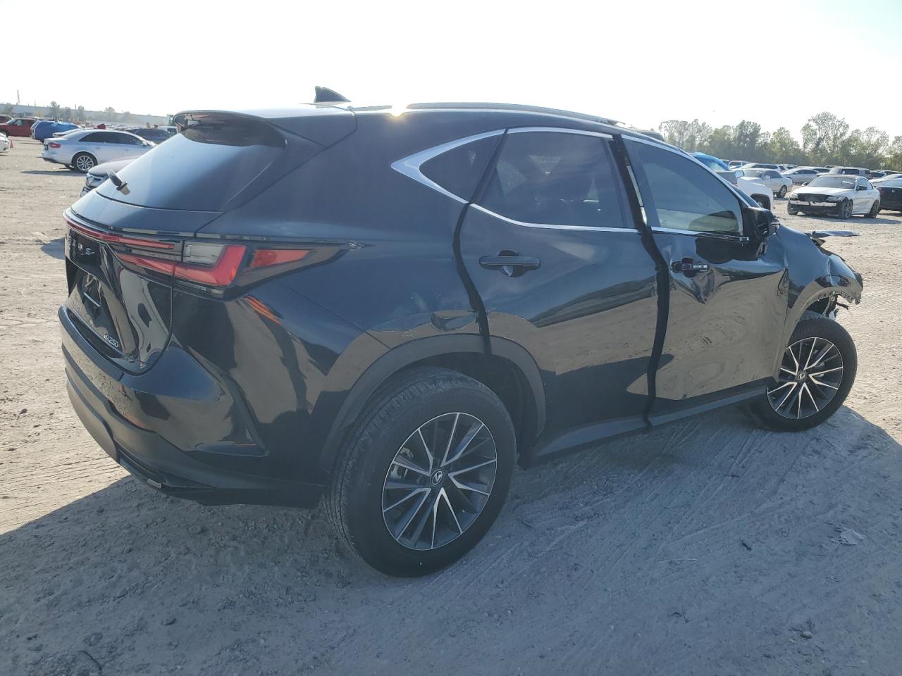 Lot #3008680123 2024 LEXUS NX 250 BAS