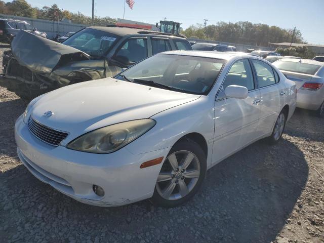 LEXUS ES 330 2006 white  gas JTHBA30G965174311 photo #1